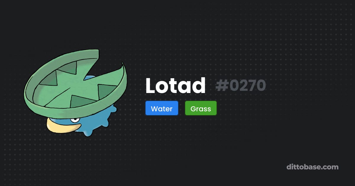 Lotad Lotad | Dittobase