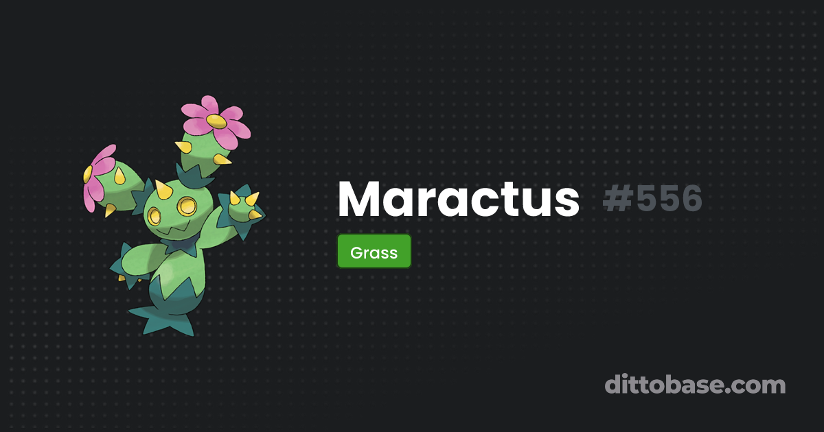 Maractus | Dittobase Pokédex