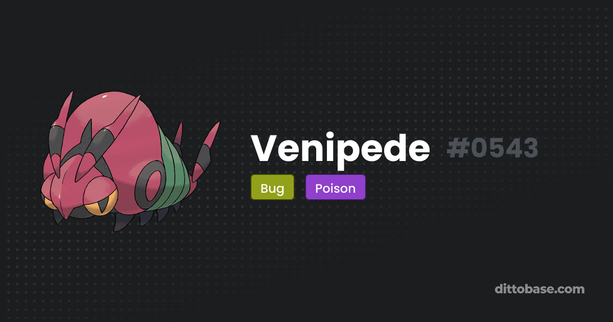 Venipede Dittobase Pok dex venipede-dittobase-pok-dex
