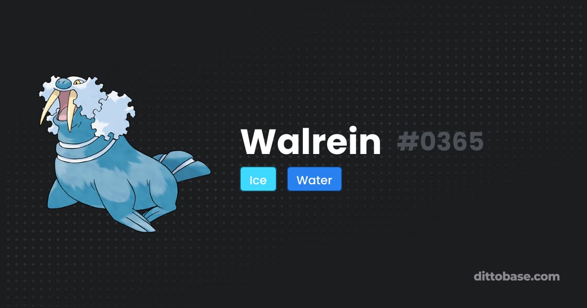 Walrey Walrein | Dittobase